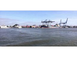 Tp HCM để Đồng Nai chủ trì xây cầu Cát Lái